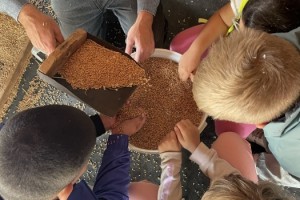 Vom Korn zum Brot